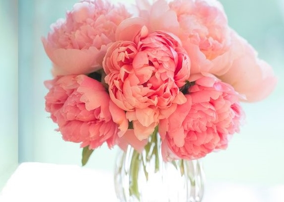 0001_pink-flowers-header-1512582155_1627465985-d3f617be31b712a9a1a71b90b676bf90.jpg